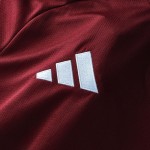 Camiseta Aston Villa 2026/27 Home de Manga Larga de Hombre Camiseta Aston Villa 2026/27 Home de Manga Larga de Hombre
