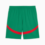 Terceros pantalones cortos Marruecos 2025 hombre - verde Terceros pantalones cortos Marruecos 2025 hombre - verde