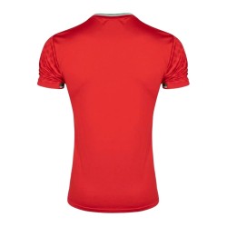 Camiseta de la Copa Mundial 2026 de Irán Segunda Equipación para Hombre Camiseta de la Copa Mundial 2026 de Irán Segunda Equipación para Hombre