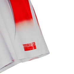 Camiseta especial FC Sion 2025/26 para hombre Camiseta especial FC Sion 2025/26 para hombre