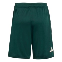 Conjunto de la Copa Mundial 2026 de Arabia Saudí Primera Equipación para Niño Conjunto de la Copa Mundial 2026 de Arabia Saudí Primera Equipación para Niño