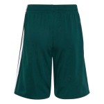 Niños México 2026 Kit de visitante Copa del Mundo Niños México 2026 Kit de visitante Copa del Mundo