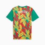 Camiseta previa al partido tercera para niño Senegal 2025