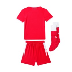 Conjunto local infantil FC Twente 2026/27 Conjunto local infantil FC Twente 2026/27