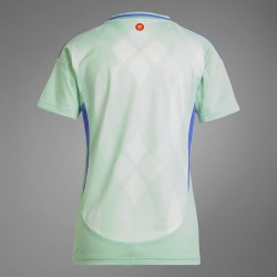 Camiseta Away del Equipo Femenino de Gales 2025 para Hombre
