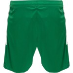 Pantalón Corto 115º Aniversario PEC Zwolle Niño 2025/26 Pantalón Corto 115º Aniversario PEC Zwolle Niño 2025/26