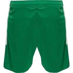 Pantalón Corto 115º Aniversario PEC Zwolle Niño 2025/26 Pantalón Corto 115º Aniversario PEC Zwolle Niño 2025/26