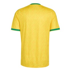 Camiseta local Sudáfrica 2026 Copa del Mundo mujer Camiseta local Sudáfrica 2026 Copa del Mundo mujer