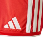Pantalón Corto 1. FC Unión Berlín 2026/27 Local Hombre Pantalón Corto 1. FC Unión Berlín 2026/27 Local Hombre