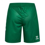 Pantalones Cortos Niño Werder Bremen 2025/26 Local - Verde