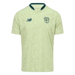 Camiseta de calentamiento visitante Cardiff City 2025/26 niño