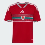 Camiseta local de la Copa del Mundo 2026 de Gales para niño