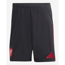 Pantalones Visitante Liverpool Niño 2025/26