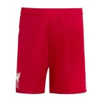 Pantalones Cortos Locales Masculinos Liverpool 2026/27